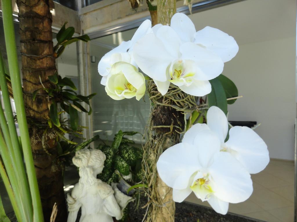 غوارويا Pousada Orquideas المظهر الخارجي الصورة